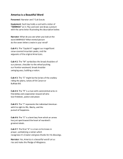 America is a Beautiful Word