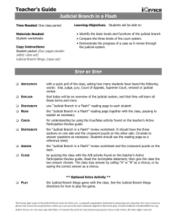 Judicial Branch in a Flash