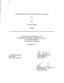 Amber Martin - Coastal Carolina University