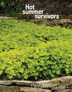 Hot summer survivors