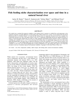 Fish feeding niche characterization over space and time in a natural