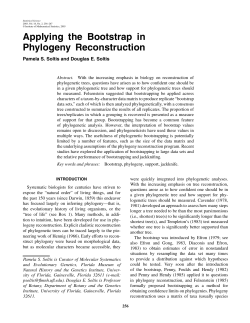 Applying the Bootstrap in Phylogeny Reconstruction