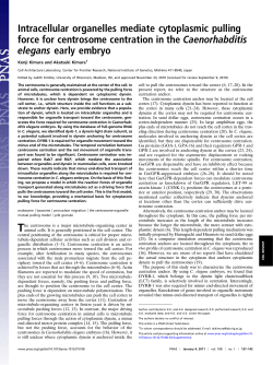 Intracellular organelles mediate cytoplasmic