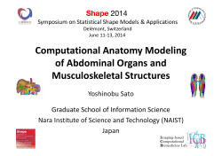 Computational Anatomy Modeling of Abdominal Organs and