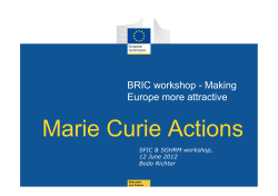 BRIC workshop - Making Europe more attractive