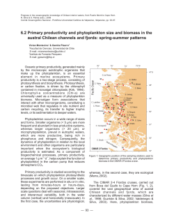 Primary productivity and phytoplankton size and biomass in the