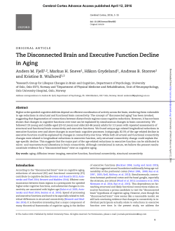 The Disconnected Brain and Executive Function