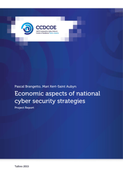 Economic aspects of national cyber security strategies