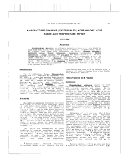 MORPHOLOGY, HOST RANGE ,AND TEMPERATURE EFFECT