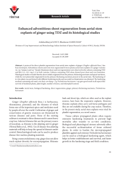 Enhanced adventitious shoot regeneration from aerial stem explants