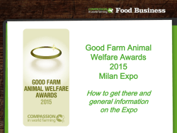 to travel advice - Compassion in Food Business