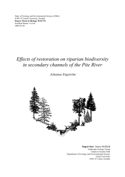 Effects of restoration on riparian biodiversity in secondary channels