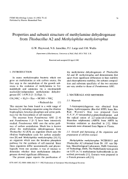 Properties and subunit structure of methylamine dehydrogenase