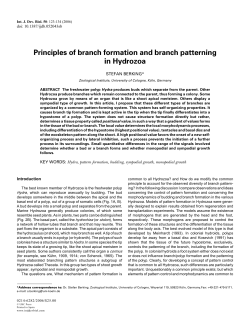 Full Text  - The International Journal of Developmental Biology