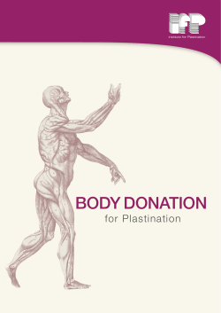 Brochure - Bodymobil