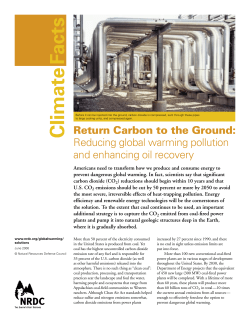 NRDC: Return Carbon to the Ground: Reducing Global Warming