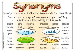 Synonyms Poster
