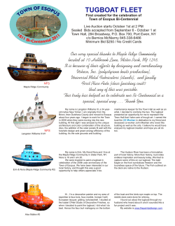 Tugboat Fleet 2011 with artistan`s statements