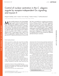 Control of nuclear centration in the C. elegans zygote by receptor