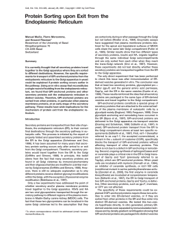 Protein Sorting upon Exit from the Endoplasmic Reticulum