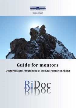 Guide for Mentors