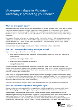 Blue-green algae in Victorian waterways