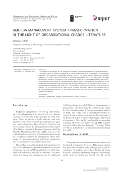 AMOEBA MANAGEMENT SYSTEM TRANSFORMATION IN THE