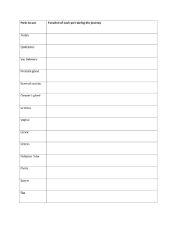 Epic Sperm Tale Analogy - Madison County Schools