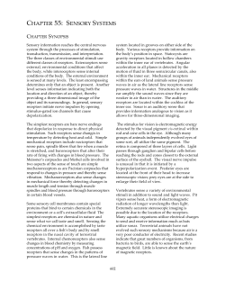 CHAPTER 55: SENSORY SYSTEMS