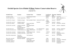 Orchid Species List of Baluk Willam Nature Conservation Reserve