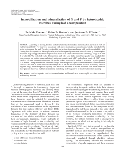 Immobilization and mineralization of N and P by heterotrophic