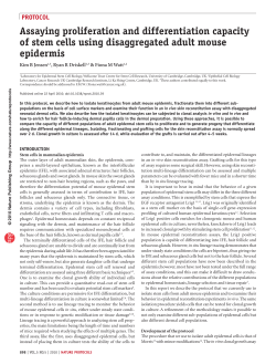 Assaying proliferation and differentiation capacity of stem