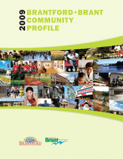 2009 Brantford Brant Community Profile