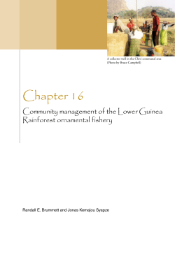 Chapter 16