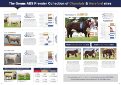 The Genus ABS Premier Collection of Charolais
