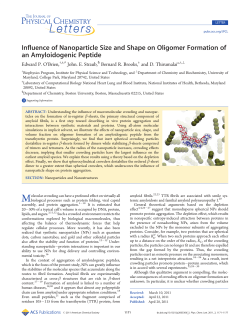 Influence of Nanoparticle Size and Shape on Oligomer Formation of