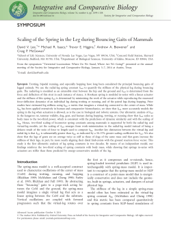 Scaling of the Spring in the Leg during Bouncing Gaits of Mammals