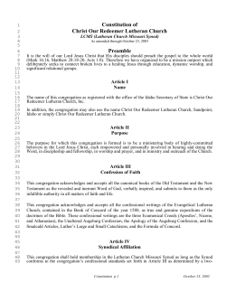 Flexible, Missional ConstitutionlBylaws