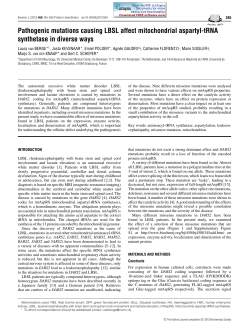 Pathogenic mutations causing LBSL affect mitochondrial aspartyl