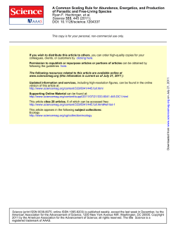 A Common Scaling Rule for Abundance, Energetics, and Production