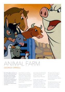 animal farm - SEO Bangkok Services