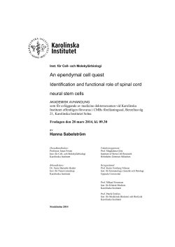 An ependymal cell quest - KI Open Archive