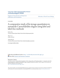 A comparative study of fat storage quantitation in nematode