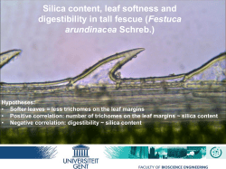 Silica content, leaf softness and digestibility in tall fescue (Festuca