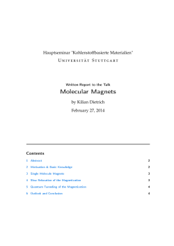 Molecular Magnets - 1. Physikalisches Institut
