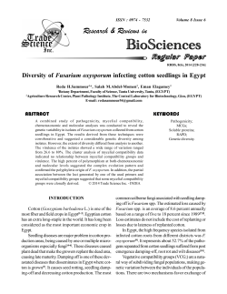 Diversity of Fusarium oxysporum infecting cotton