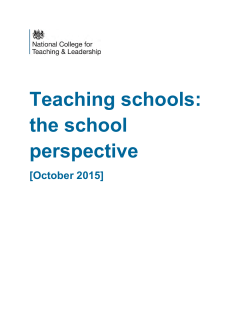 Teaching schools: the school perspective