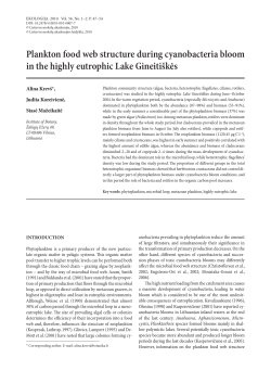 Plankton food web structure during cyanobacteria bloom in the