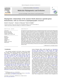 Phylogenetic relationships of the western North American cyprinid