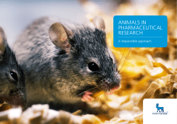 animals in pharmaceutical research